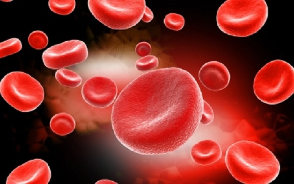 Photo of სისხლის ჯგუფი ადამიანის ხასიათს განსაზღვრავს – თქვენ რომელი ჯგუფის სისხლი გაქვთ?