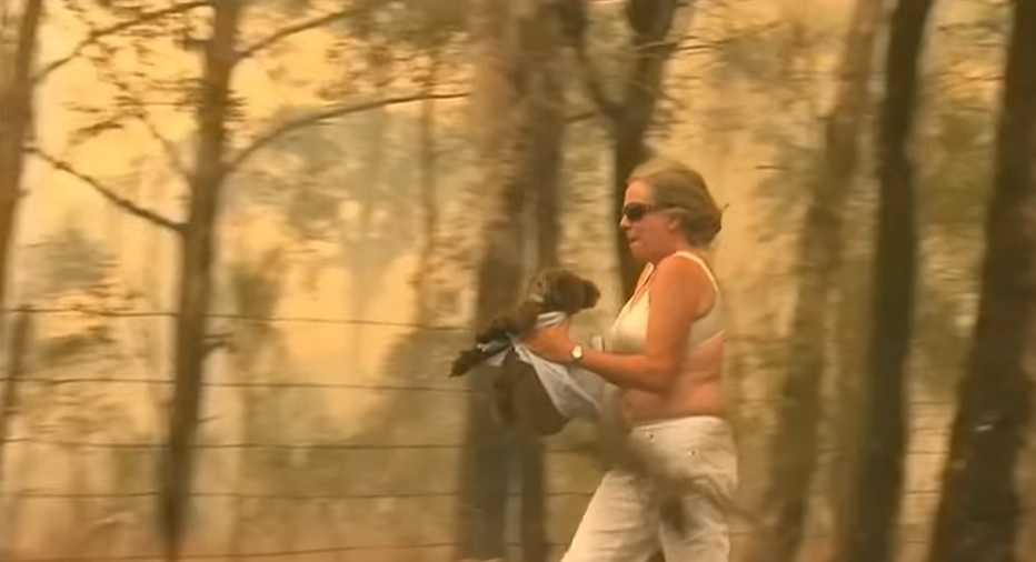 Photo of ავსტრალიაში ტყის ხანძრისას ქალმა კოალა გადაარჩინა (ვიდეო)