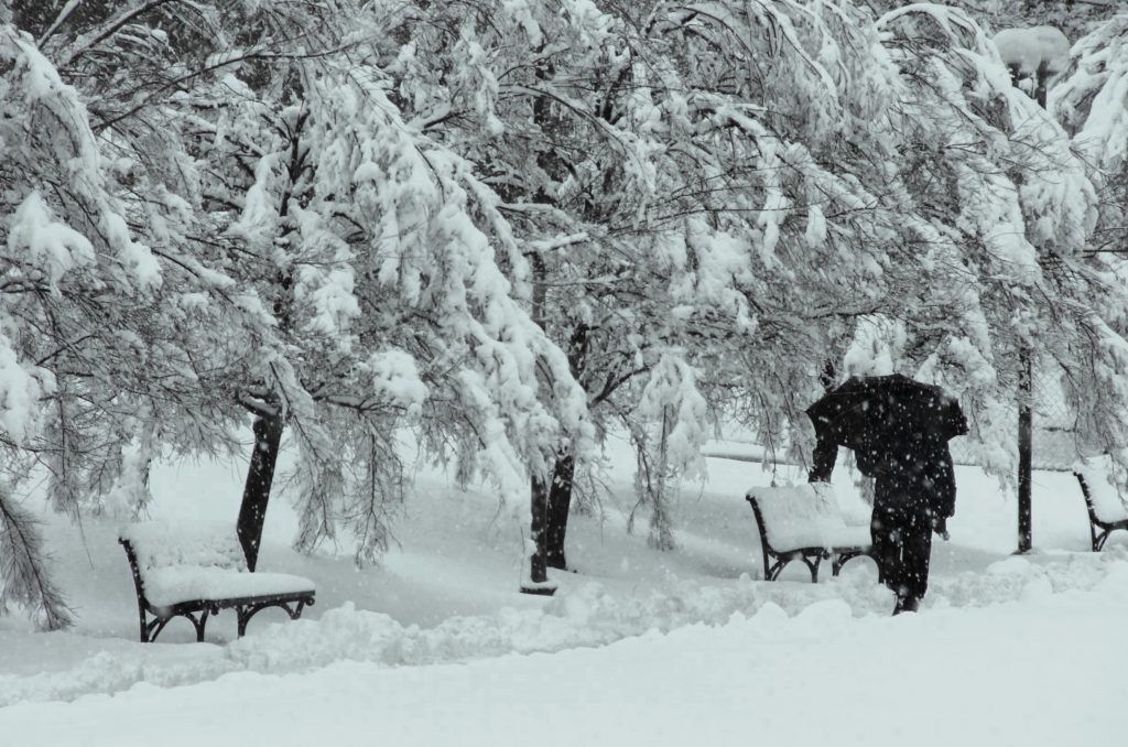 Photo of სად გაქრა ზამთარი, რატომ აღარ თოვს თბილისში და რა პრობლემები შეიძლება მოგვიტანოს არასეზონურმა ამინდებმა?