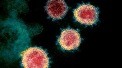 Photo of ახალი კვლევა: SARS-CoV2 შესაძლოა ჰაერში დაავადებულის სუნთქვით ვრცელდება