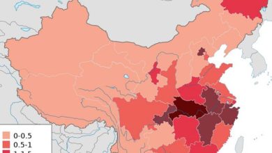 Photo of ჩინეთში კოვიდ-19-ით გარდაცვლილთა რიცხვი 38%-ით გაიზარდა