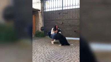 Photo of როგორ შეეგება იტალიაში 56-დღიანი განშორების შემდეგ ძაღლი ახალგაზრდა ქალს (ვიდეო)