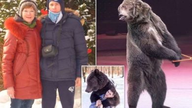 Photo of რუსეთში დათვმა მოკლა ცირკის თანამშრომელი, რომელიც პირბადის გამო ვერ იცნო