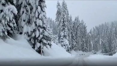 Photo of იტალია, არაბა: 2 მეტრზე მეტი თოვლი მოვიდა ბელუნოს დოლომიტებში (ვიდეო)