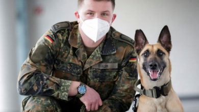 Photo of გერმანული გაწვრთნილი ძაღლები კორონავირუსს 94%-იანი სიზუსტით ცნობენ