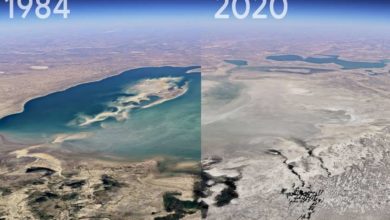 Photo of როგორ შეიცვალა დედამიწა 1984 წლიდან დღემდე – GOOGLE EARTH-ის ე. წ. „თაიმ ლეპსი“