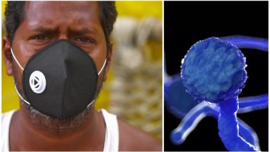 Photo of „შავი სოკო“ – რას წარმოადგენს დაავადება მუკორმიკოზი, რომელიც ინდოეთში გავრცელდა