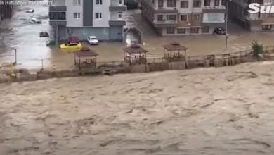 Photo of დამანგრეველი სტიქია საქართველოს საზღვართან – თურქეთში წყალდიდობას ებრძვიან, არიან გარდაცვლილები (ვიდეო)