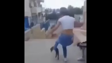 Photo of საბერძნეთში 15 წლის გოგო, რომელმაც კატას წიხლი ამოარტყა, 5000 ევროთი დააჯარიმეს (ვიდეო)