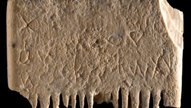 Photo of „დაე, ამ ეშვმა სამუდამოდ ამოძირკვოს თმისა და წვერის ტილები“ –  ეს იმედიანი წინადადება უძველესია არქეოლოგების მიერ ოდესმე აღმოჩენილთა შორის