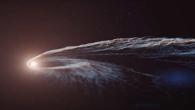 Photo of ნასამ გამოაქვეყნა საოცარი ვიდეო, როგორ შთანთქავს მკვლელი შავი ხვრელი ვარსკვლავს (ვიდეო)