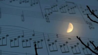 Photo of სრული ფანტასტიკა! – მოუსმინეთ ბეთჰოვენის „მთვარის სონატას“ 24 პიანისტის შესრულებით (ვიდეო)