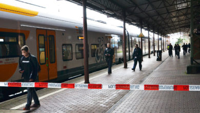 Photo of გერმანიაში ნაჯახით შეიარაღებულმა კაცმა მატარებელში 17 წლის გოგო დაჭრა