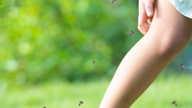 Photo of რატომ იზიდავს ზოგი ადამიანი კოღოებს: მეცნიერთა უახლესი დასკვნა