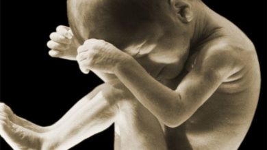 Photo of ქალი ირწმუნება, რომ ფეხმძიმობის შესახებ 8 თვე არ იცოდა და ჩვილი ტუალეტის ორმოში ჩაუვარდა – შვილის მკვლელობაში ბრალდებულის ჩვენების დეტალები