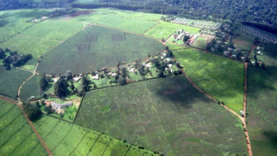 Photo of „მიწები დაკარგული ჰგონიათ“ – როგორ უნდა დაიკანონონ მესაკუთრეებმა საბჭოთა დროს მიღებული მიწები?