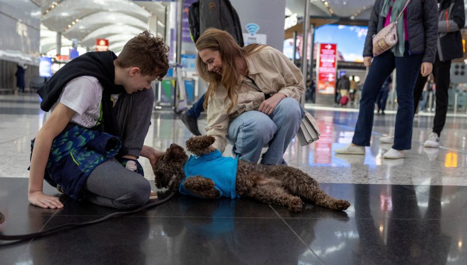სტამბოლის აეროპორტში ძაღლი-თერაპევტები გამოჩნდნენ (ვიდეო)