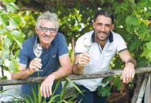 Photo of ტრაგიკული შემთხვევა: ცნობილი იტალიელი მეღვინე საკუთარმა ყურძნის საწნეხმა იმსხვერპლა