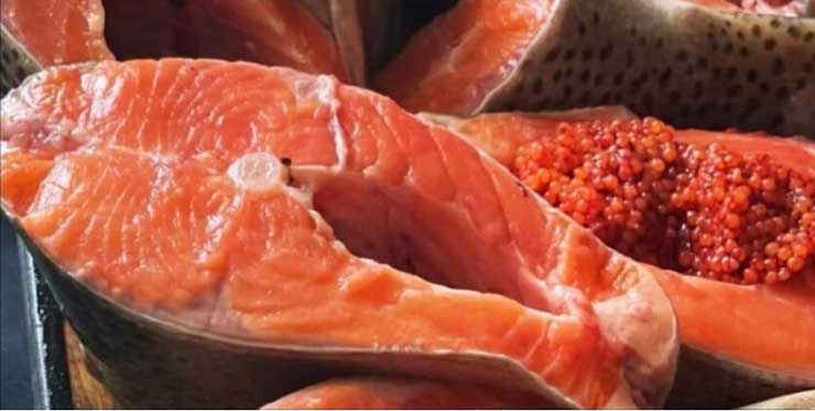 ცისარტყელა კალმახი და ხიზილალა, რომლებმაც ქიმიური სინთეზირებული კაროტინოიდებით კვების შედეგად წითელი ელფერი მიიღო