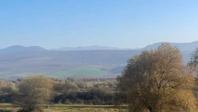 Photo of როგორი ამინდი იქნება უახლოეს დღეებში – სინოპტიკოსთა პროგნოზი