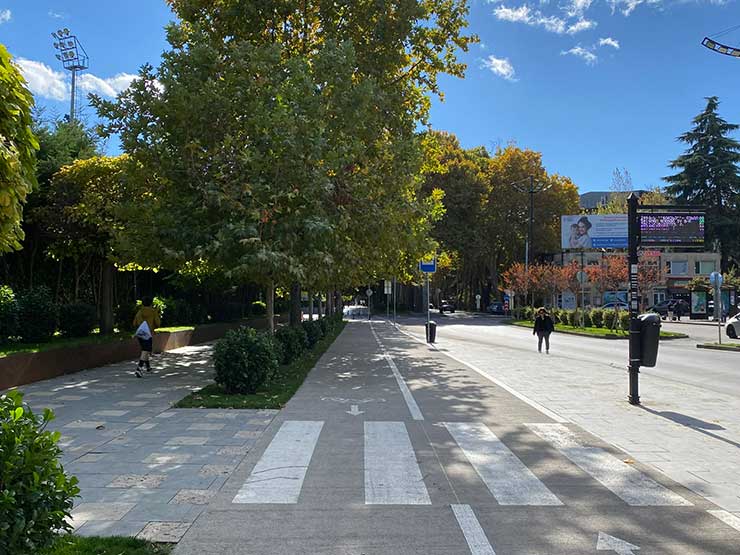 ნახეთ, რა ამინდი გველის 11 ნოემბრამდე – სინოპტიკოსთა პროგნოზი