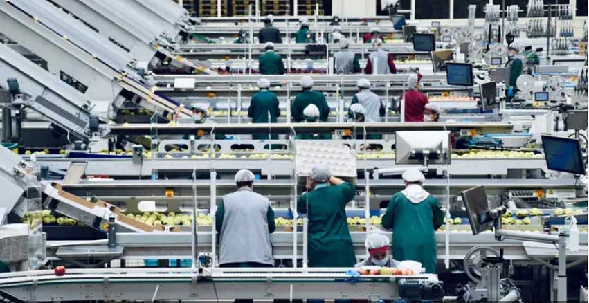 უცხოელი მუშახელი პოლონეთში – შრომით ბაზარზე საკანონმდებლო ცვლილებების ფონზე, 2025