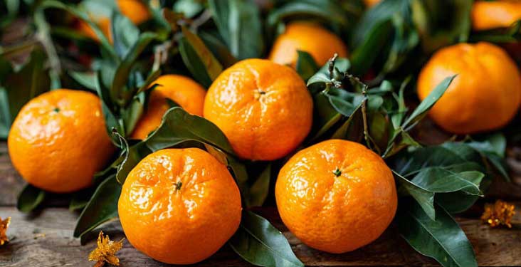 მანდარინი: სარგებელი ჯანმრთელობისთვის, კანისა და გულ-სისხლძარღვთა მხარდაჭერა