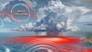 Photo of El Niño „გოძილა“ უპრეცედენტოდ ძლიერდება – რა ელოდება მსოფლიოს და შეეხება თუ არა ეს მოვლენა საქართველოს?